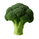 Broccoli – Oman