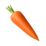 Carrot – China