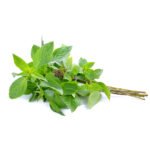 Basil Leaves