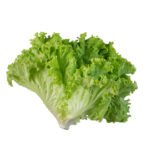 Lolo Biondo Lettuce