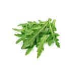Rocket Lettuce