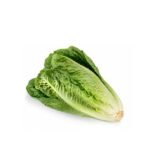 Romaine Lettuce